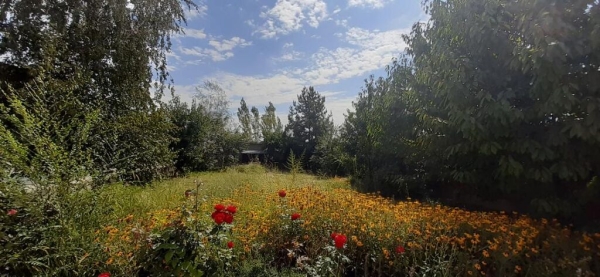 Продаю 8-к дом (250 м²) в Джалал-Абаде