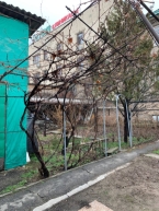 Продаю 3-к дом (58 м²) в Бишкеке