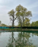Продаю 6-к дом (160 м²) в Бишкеке