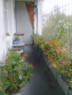 Продаю 3-к квартиру (65 м²) в Бишкеке