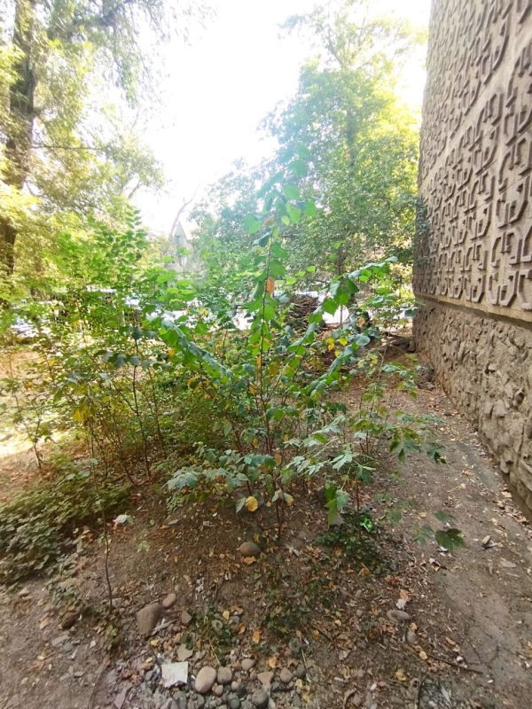 Продаю 3-к квартиру (58 м²) в Бишкеке