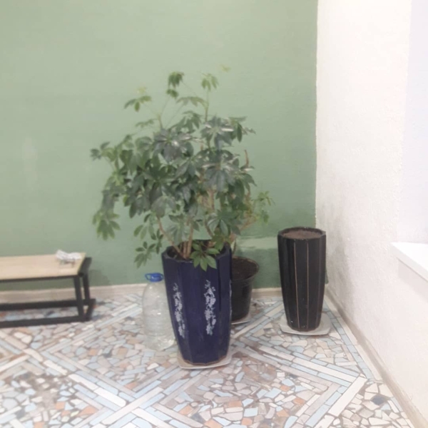 Сдаю 1-к помещение (54 м²) в Бишкеке