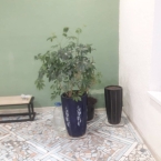 Сдаю 1-к помещение (54 м²) в Бишкеке