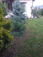 Продаю 6-к дом (296 м²) в Бишкеке