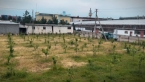 Продаю  участок (32 соток) в Токмоке