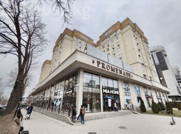 Сдаю 1-к квартиру (48 м²) в Бишкеке