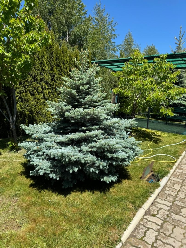 Сдаю 5-к коттедж (180 м²) на Иссык-Куле