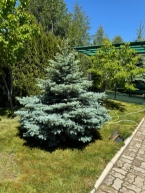 Сдаю 5-к коттедж (180 м²) на Иссык-Куле
