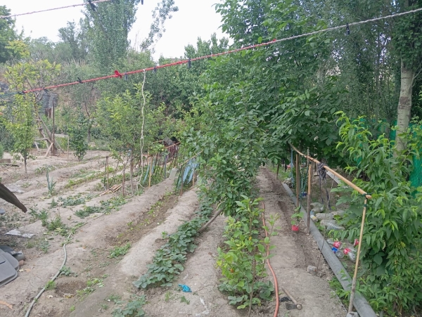 Продаю 5-к дом (210 м²) в Бишкеке