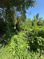 Продаю 3-к дом (55 м²) в Бишкеке