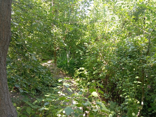 Продаю 3-к дом (59 м²) в Бишкеке
