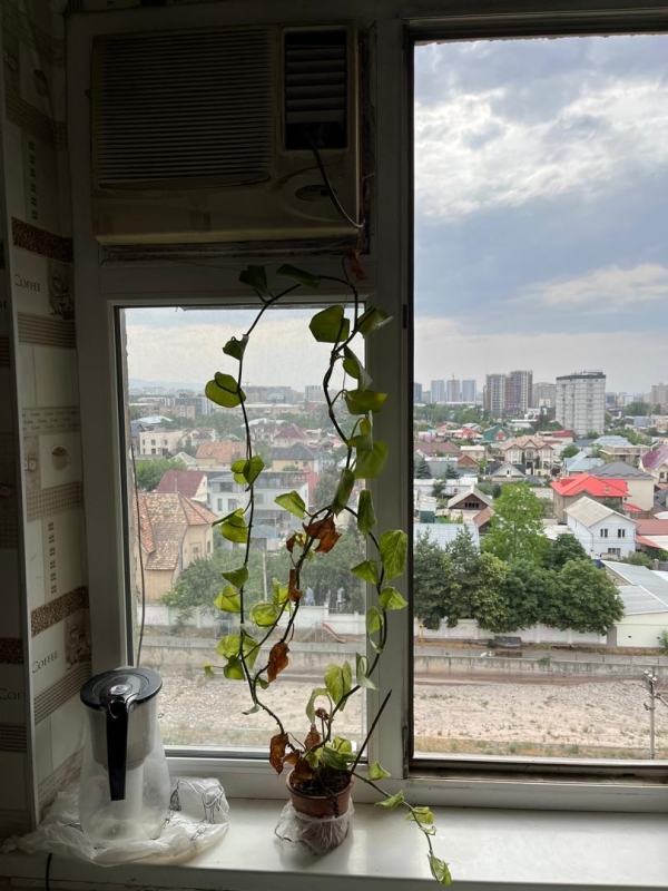 Продаю 1-к квартиру (34 м²) в Бишкеке